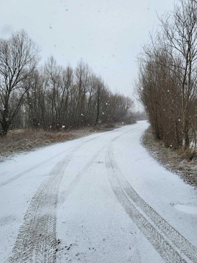 Продава се Земеделски имот в Самоков -  кв.м за 6 €/дка - Снимка #2