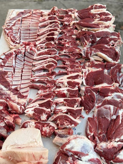 Qassob xizmati halal servis