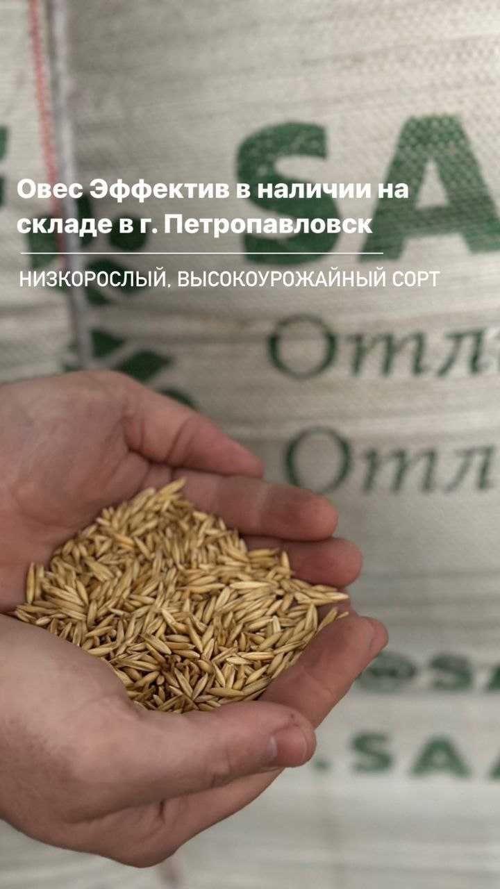 Семена Автрийской селекции (Пшеница Гранни, Ячмень, Овес)