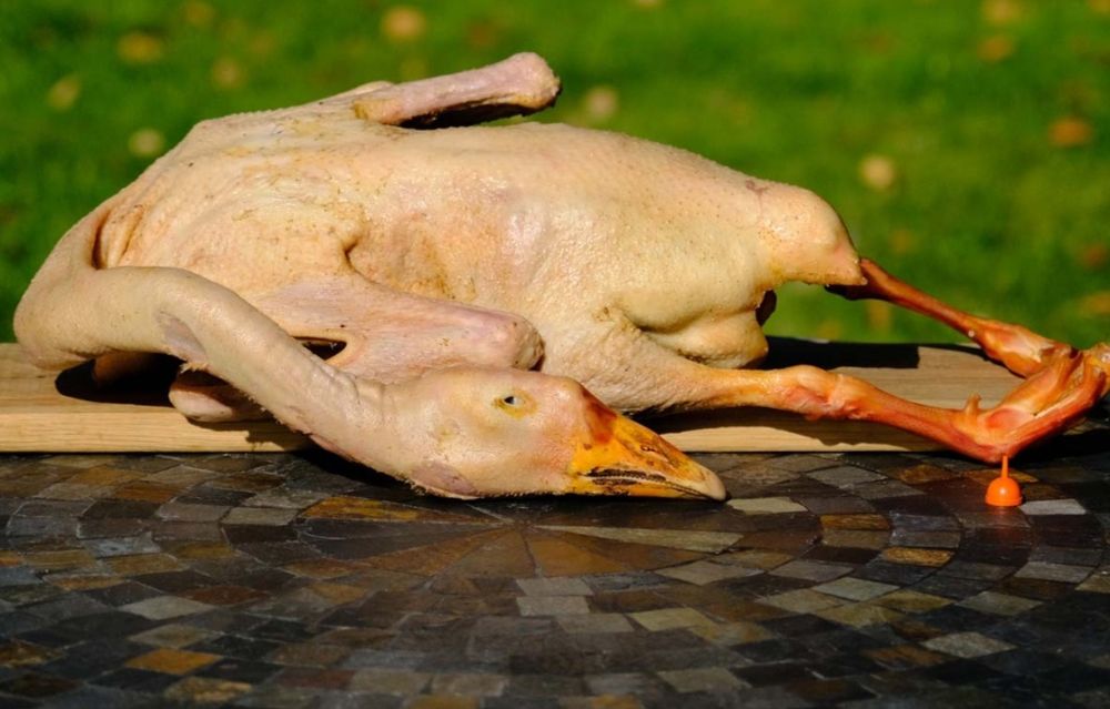 Мясо гуся. Тушки гусей. Цена указана за кг.