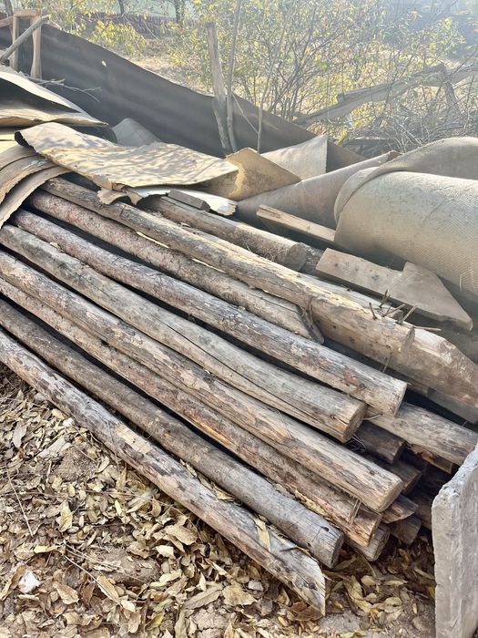 Кругляк арзан бағада 5-6 метр