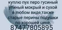 Закупаю Пух,Перо,Подушки перины самовывоз