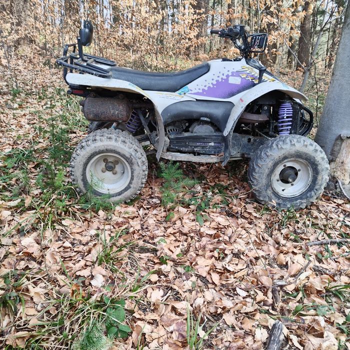 Atv polaris scrambler 400