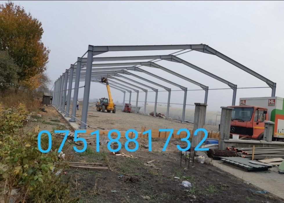 Vand hala metalica din profil IPE orce