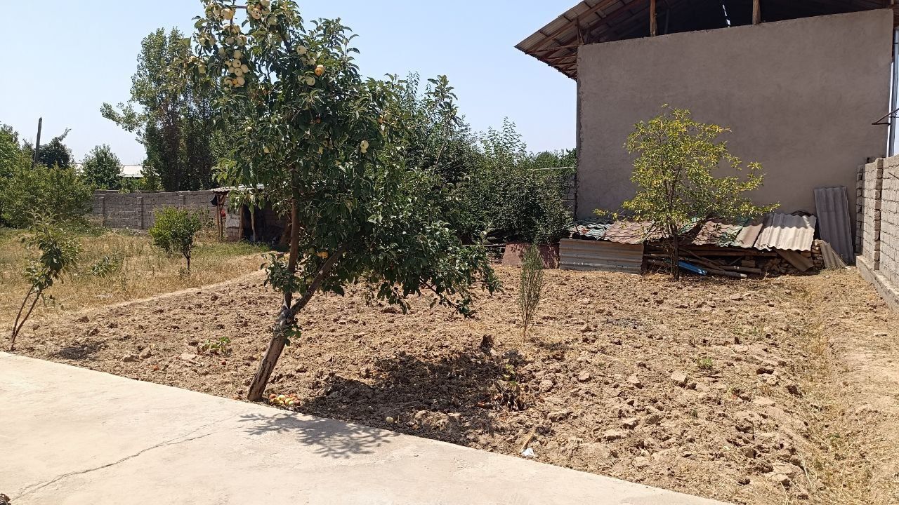 Uchaska soiladi 6 sotx