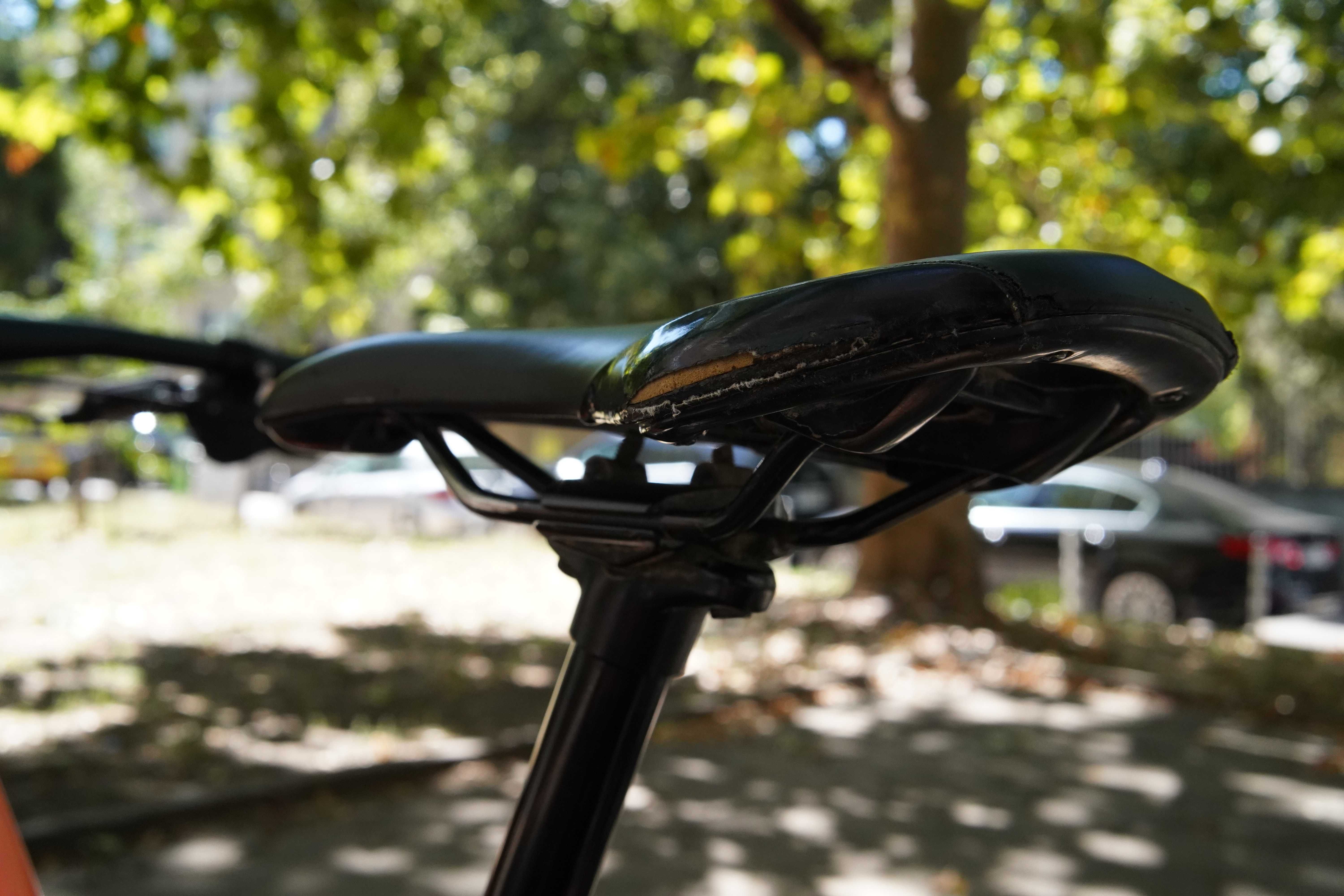 Orbea Occam 2021