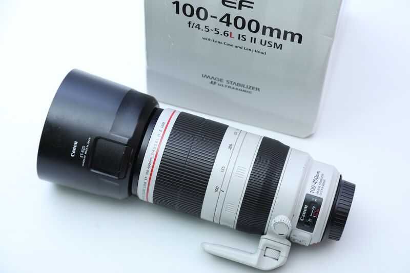 Canon EOS 7D II + 100-400mm II