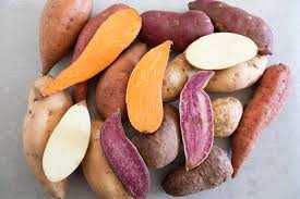 Răsaduri, butași, semințe, samânța, răsad, lăstari de Cartofi Dulci !