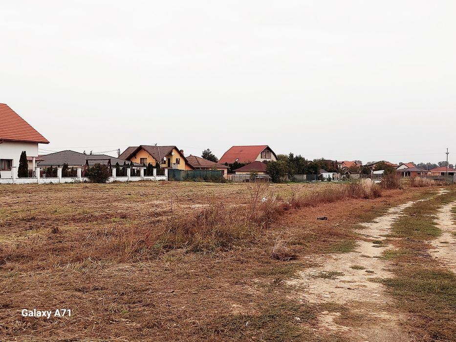 Teren intravilan,  Zona Vetis