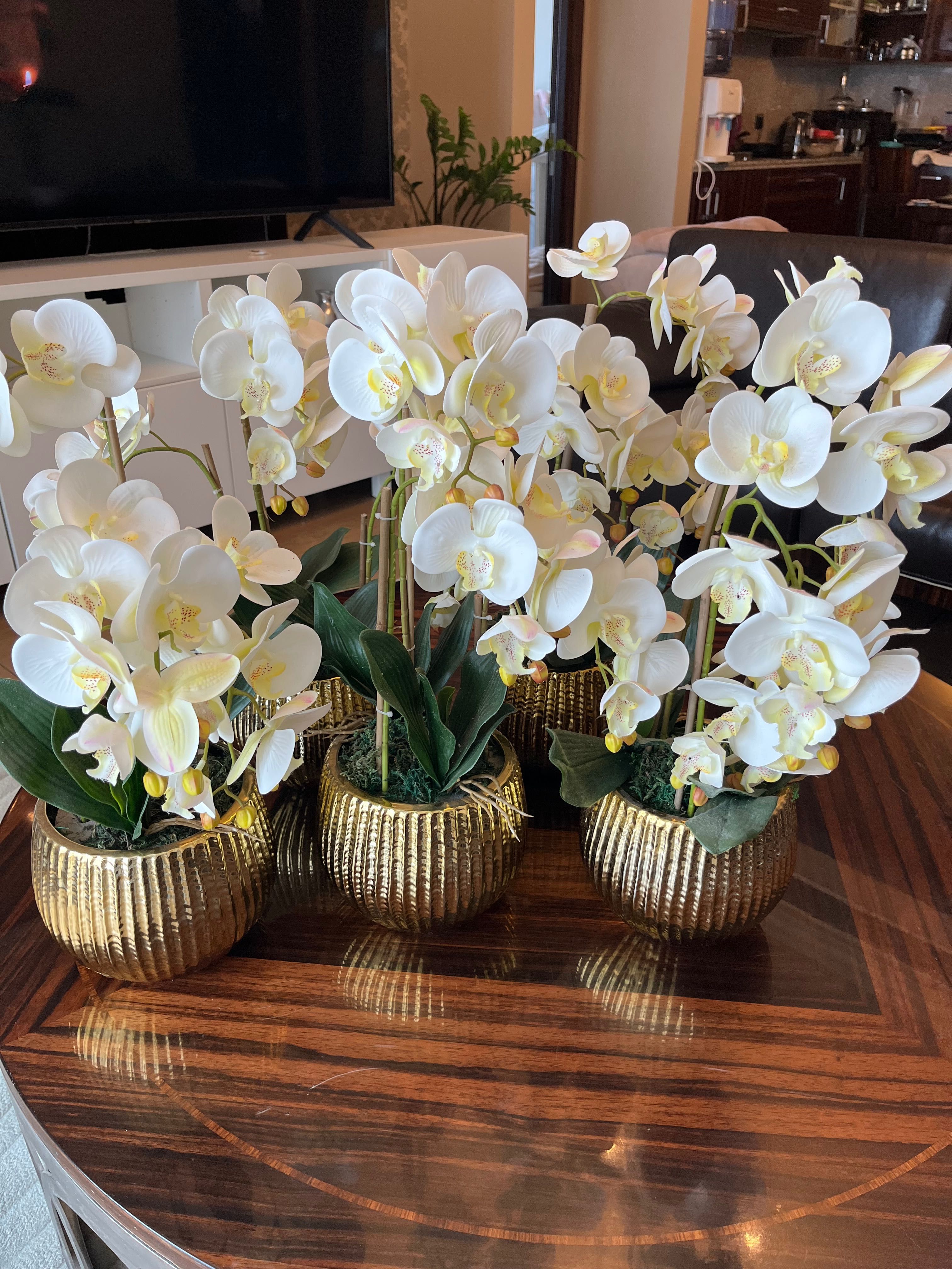 Орхидеи декоративные по 12000тг