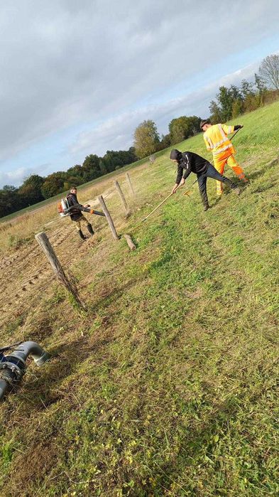 Oferim servici  Profesionale in mai multe domenii