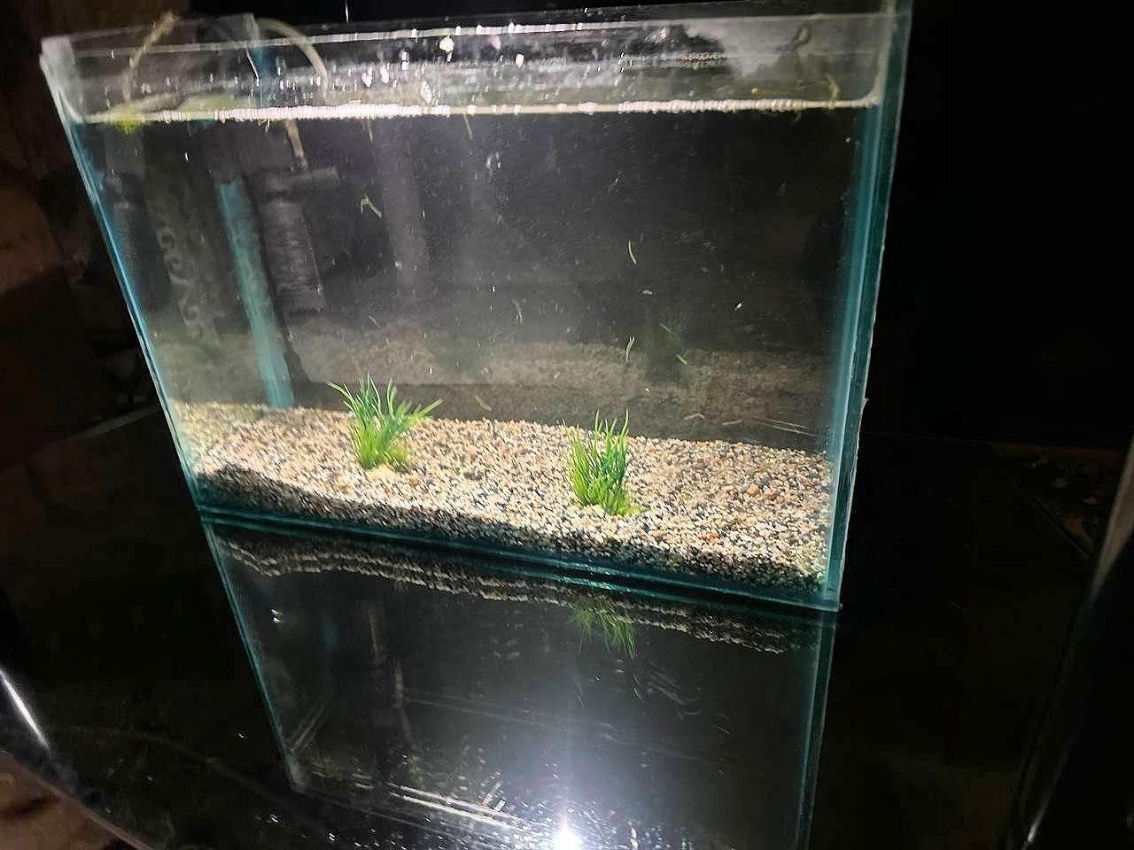 akvarium sotiladi