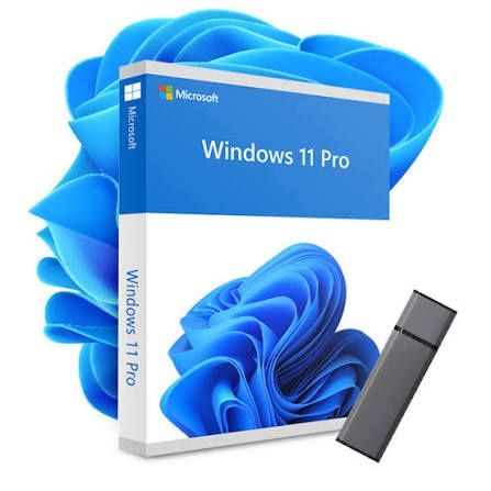 Instalare Windows 11 , 10 , 7 Licentiate Stick