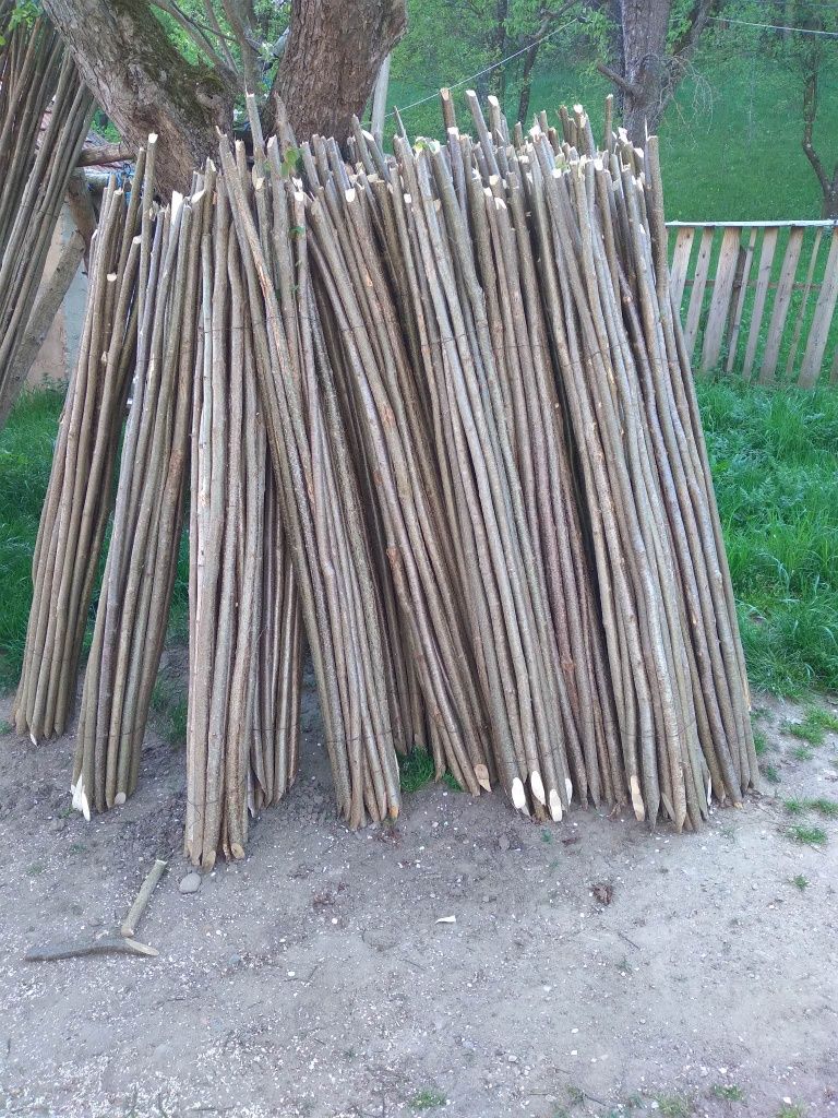 Pari de fasole și de rosii la 2 lei bucata  ân legatură sunt 20 de buc