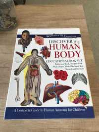 Set educativ Human Body