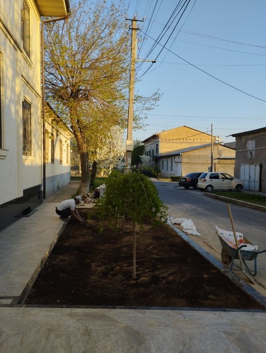 Gazon urugini sepamiza