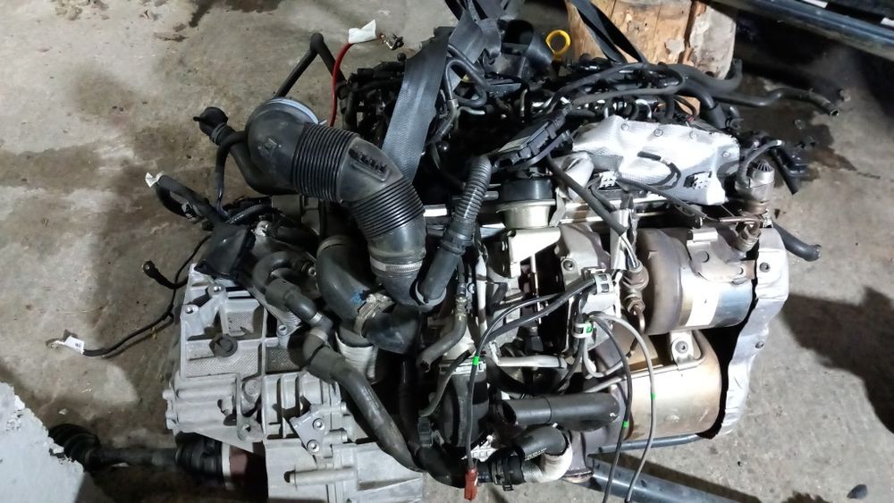 Motor 2.0 DFG cutie Dsg ad blue