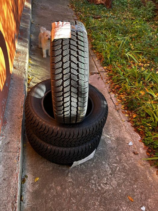 Anvelope Iarna Noi 195/65/R15