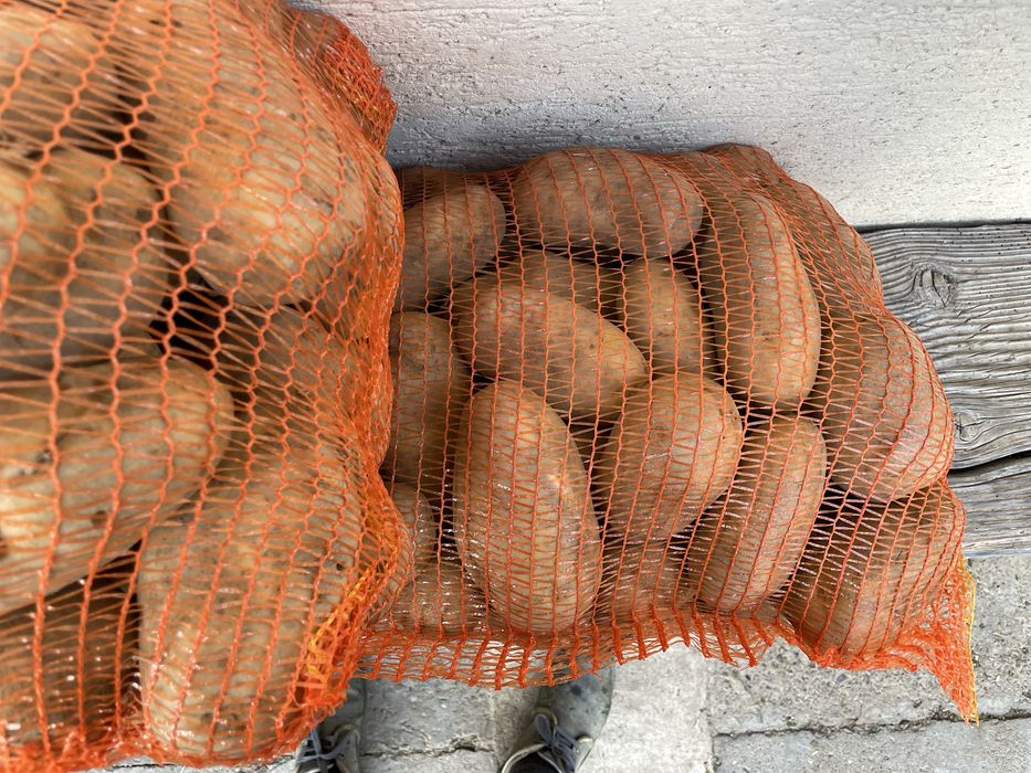 Cartofi albi bio, samanta ultra