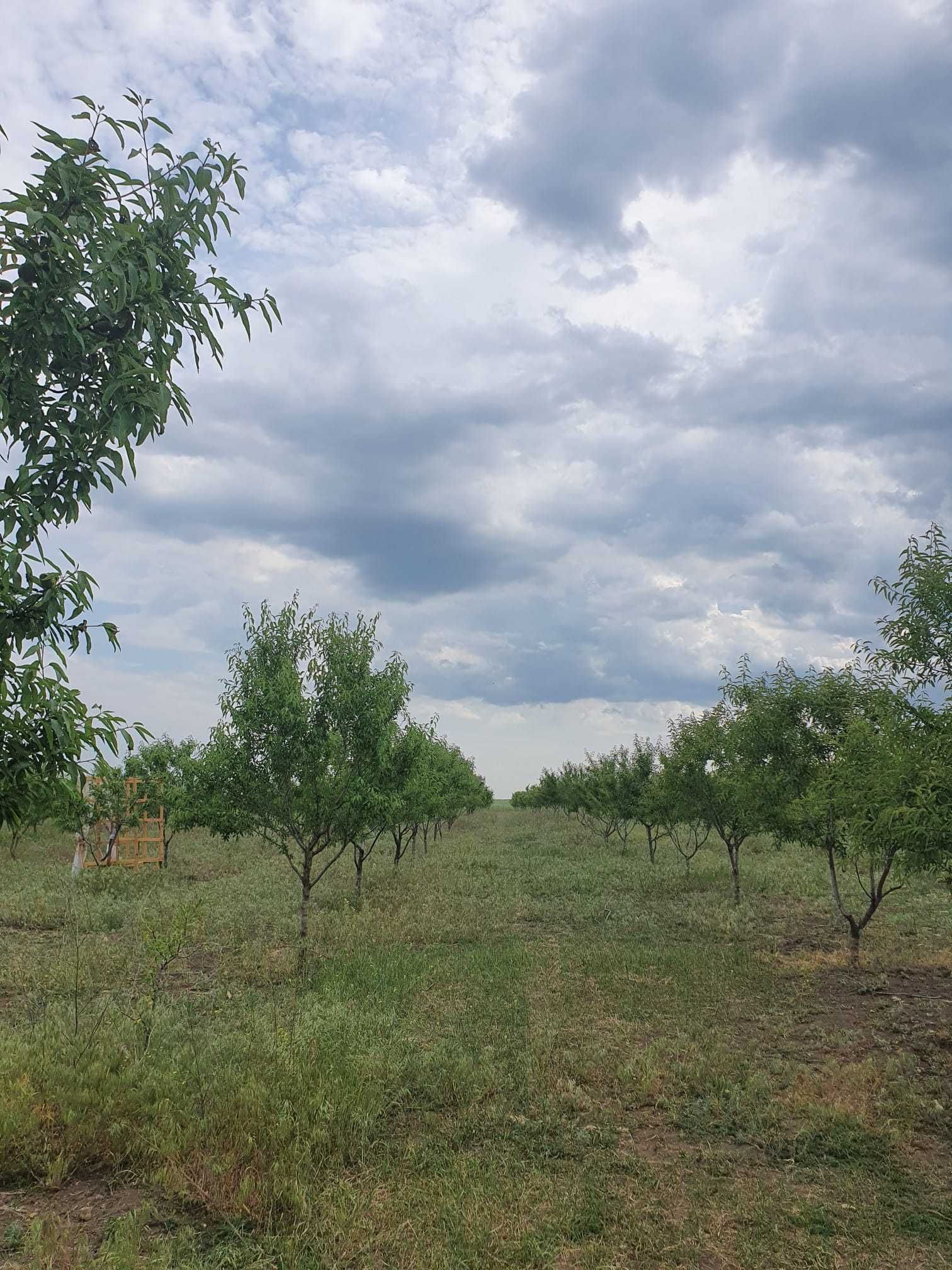 Teren extravilan deschidere 200m laDJ Suprafata totala 23.5ha