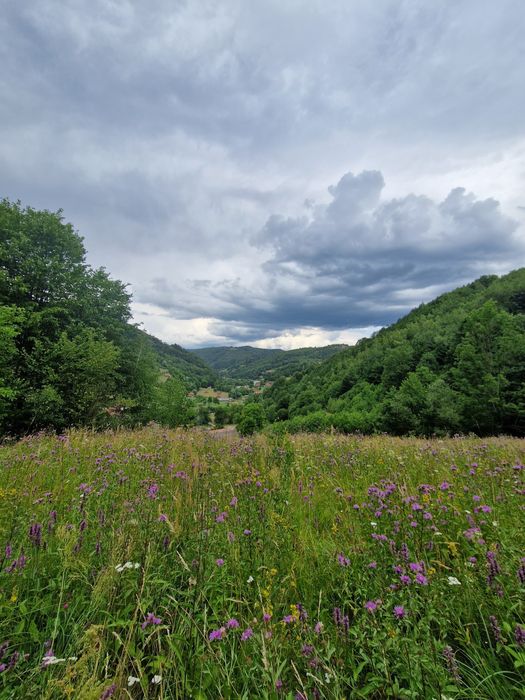 Teren intravilan Bulz-Munteni