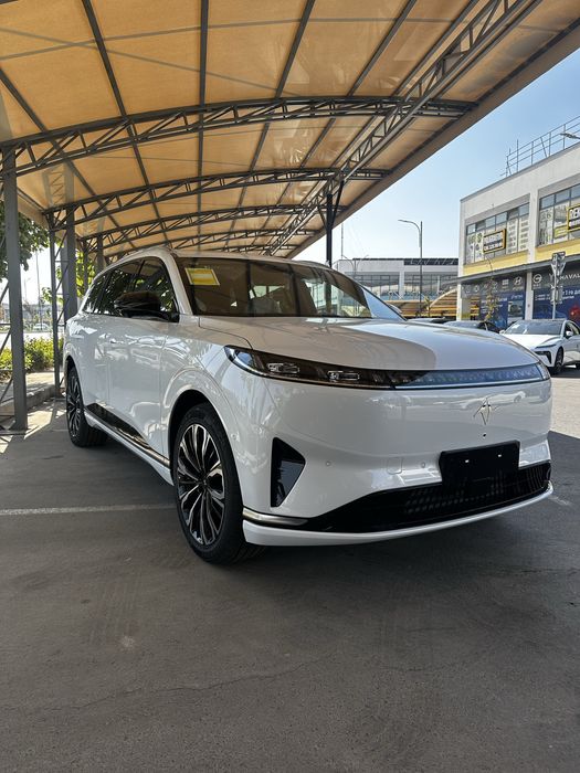 Dongfeng 008 restaling
