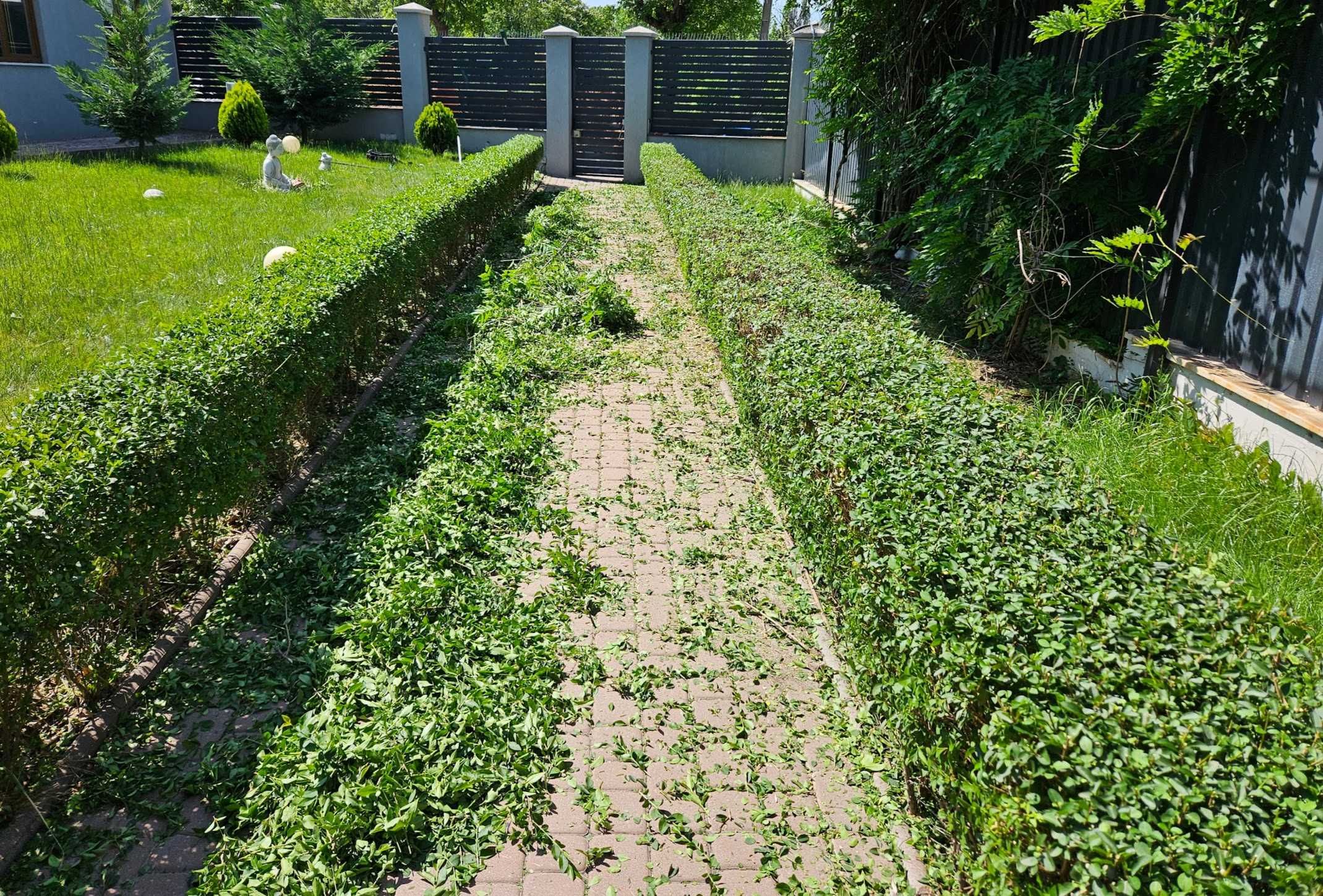 Servicii de amenajare si intretinere spatii verzi | #Gardenix