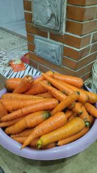 Грибочки, морковь мытая.