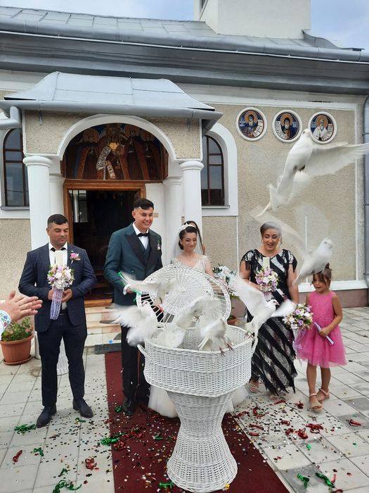 Porumbei albi pentru nunta