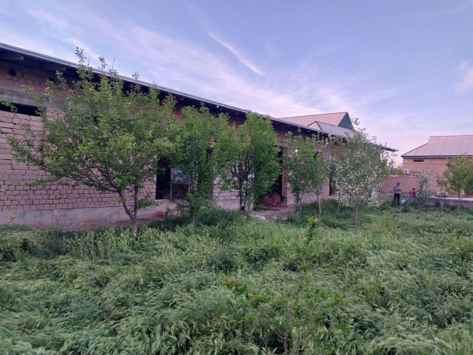 Hovli sotiladi Yangibog