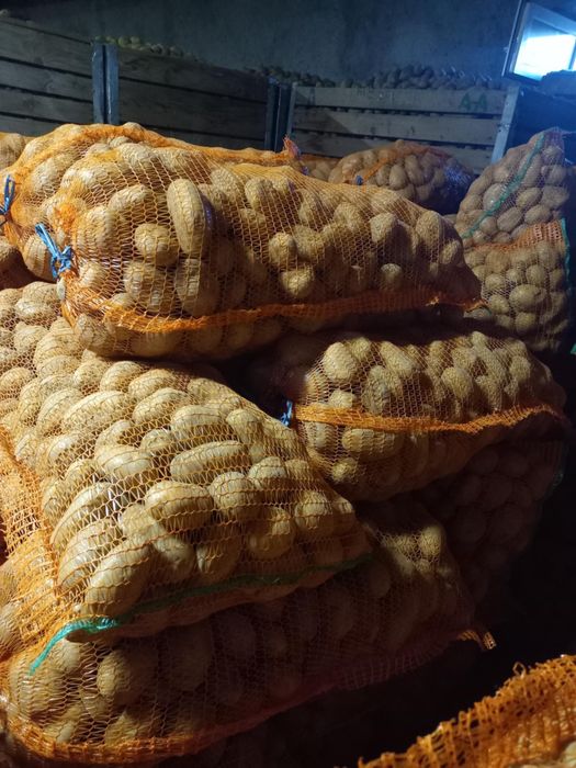 Vand cartofi consum rosu si alb