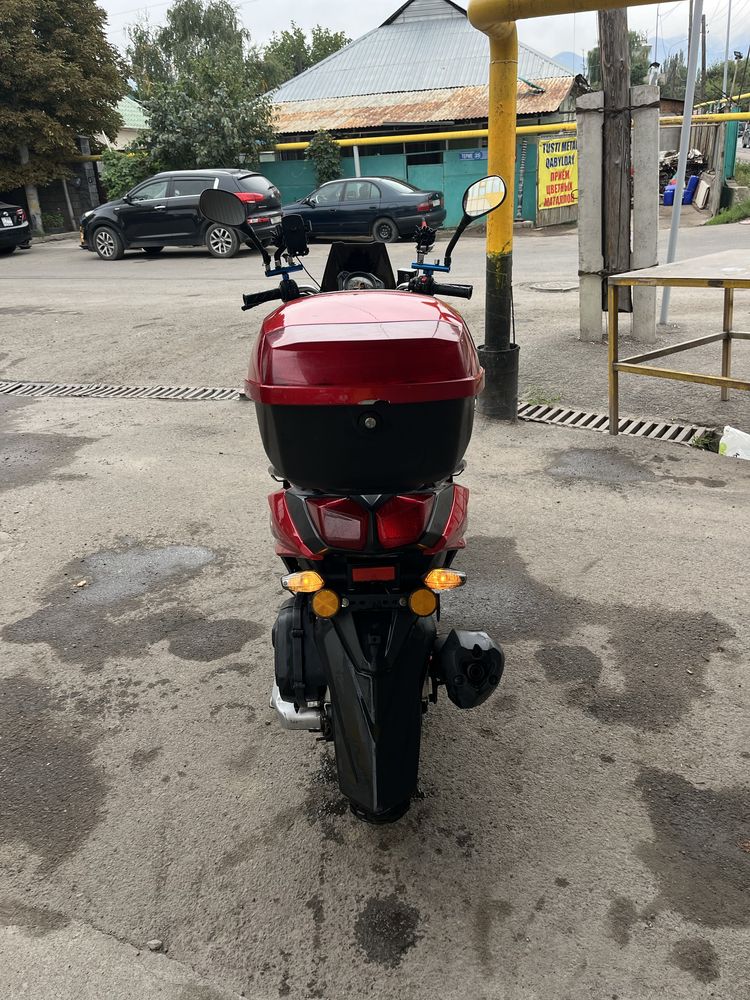 Самурай 49ssssss