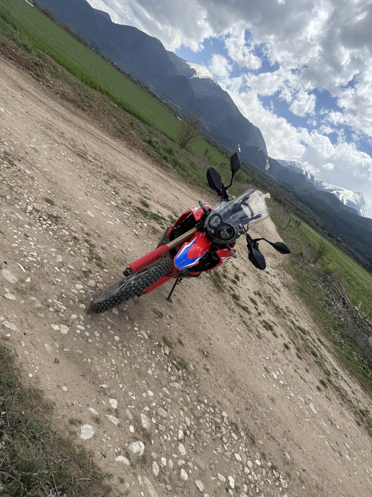 Honda crf 300 rally