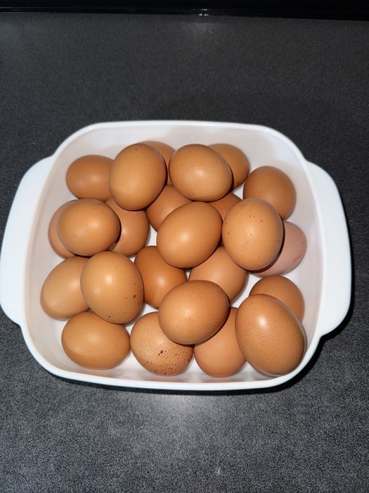 Продам яйцо домашнее