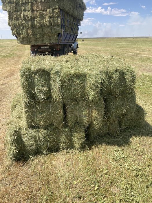 Сено Тюки Рулон…..