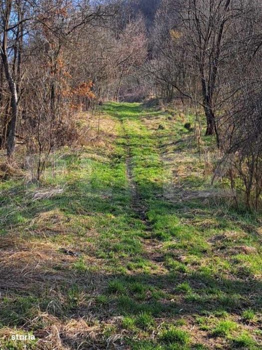 Casa cu o camera, 60 mp, in apropiere de Brad