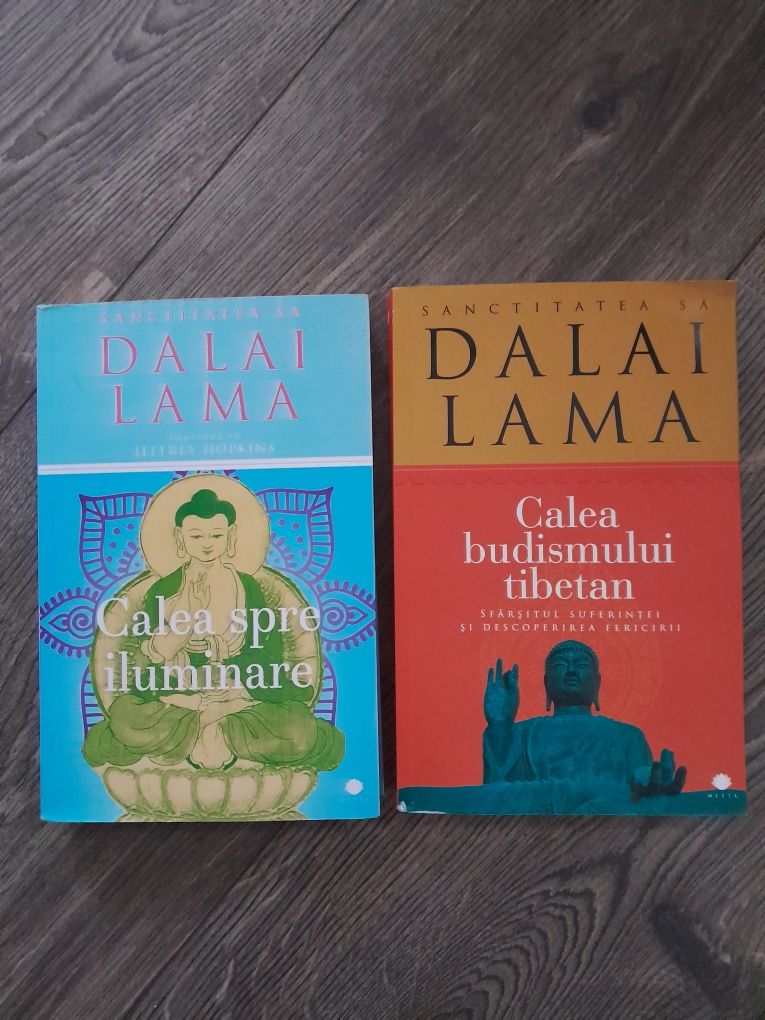 Calea Budismului tibetan, Calea spre iluminare - Dalai Lama