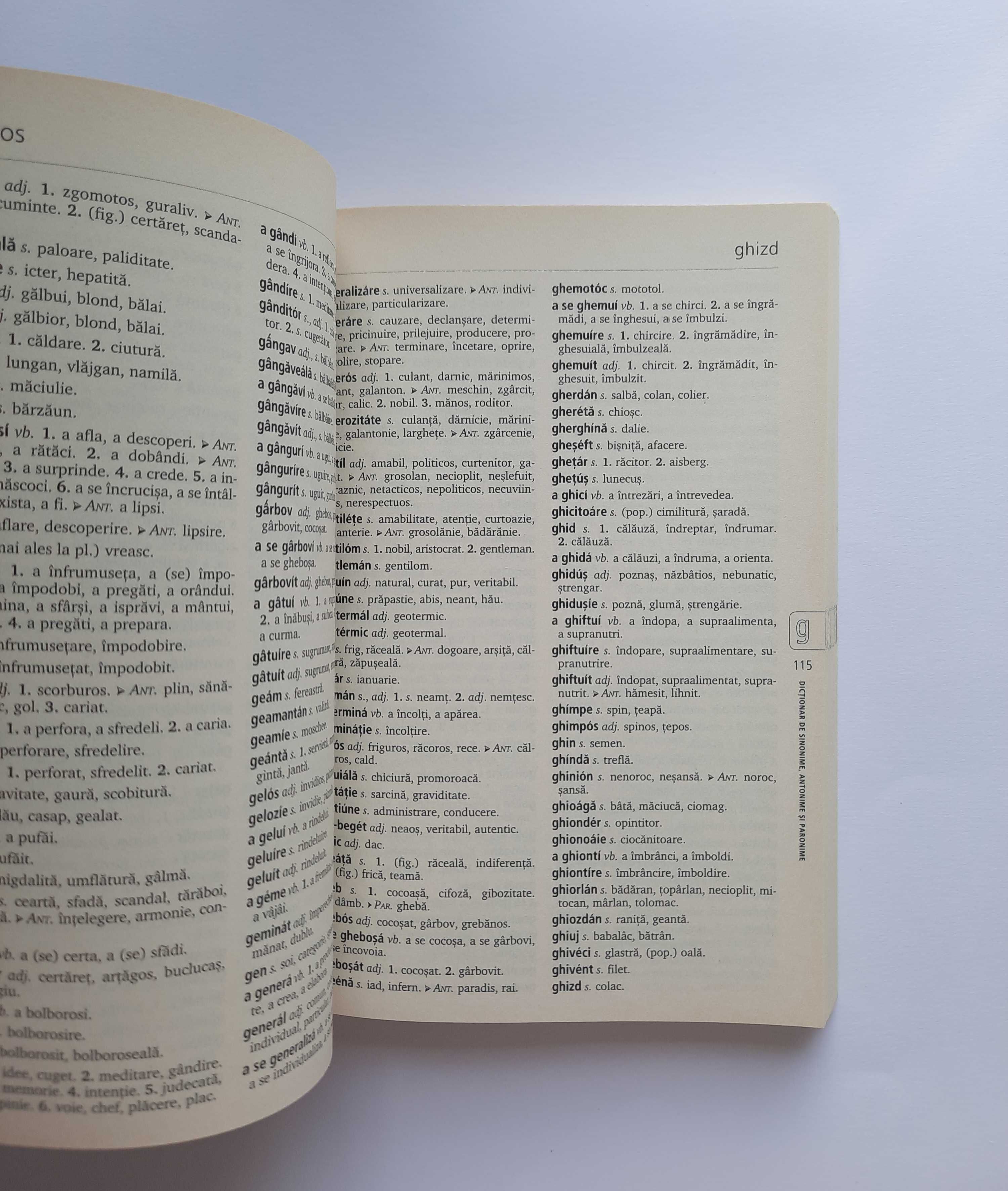 Dictionarul elevului destept (sinonime, antonime si paronime)