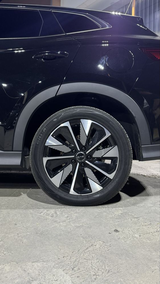 Byd Chempion Restailing 2024