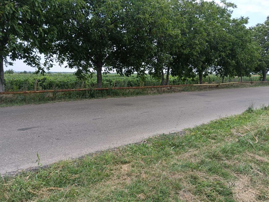 Teren intravilan și extravilan