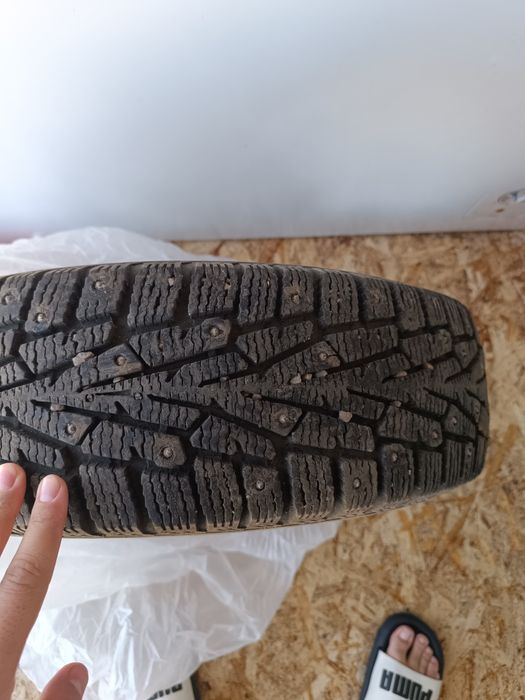 продам зимнюю резину