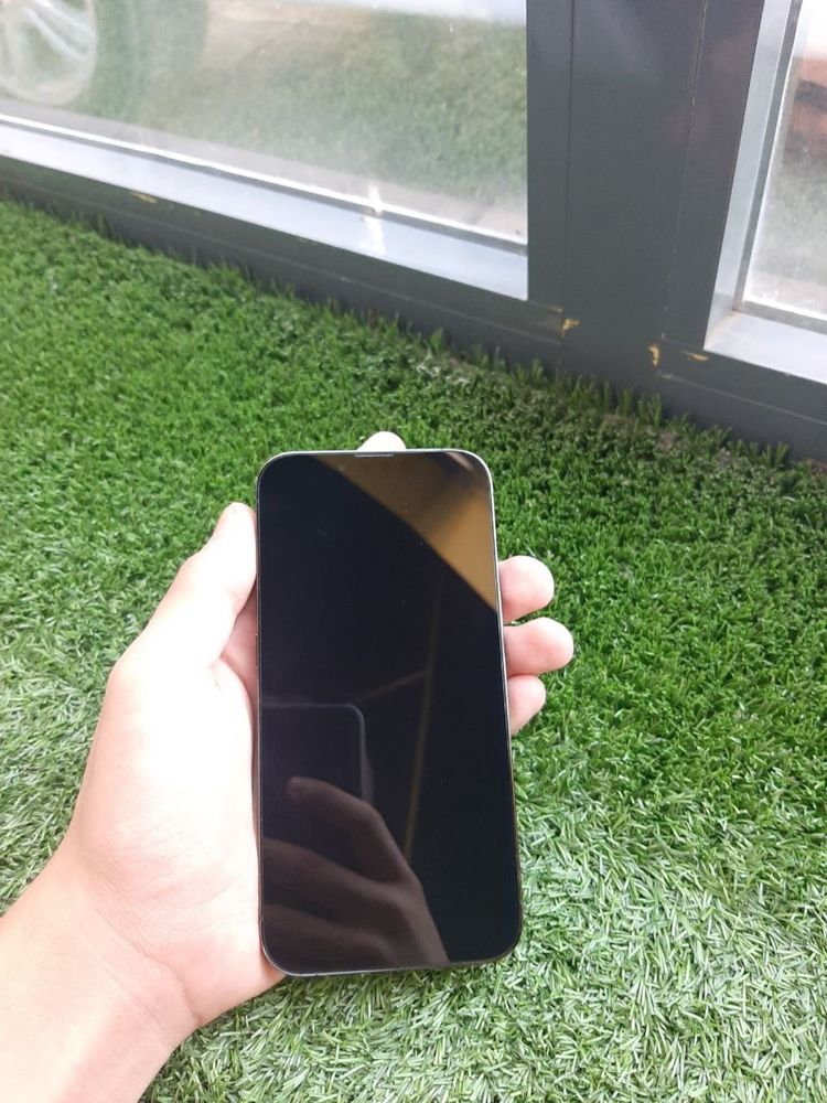 iPhone 13 Pro Green