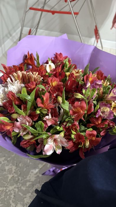 Продам цветы за 8000