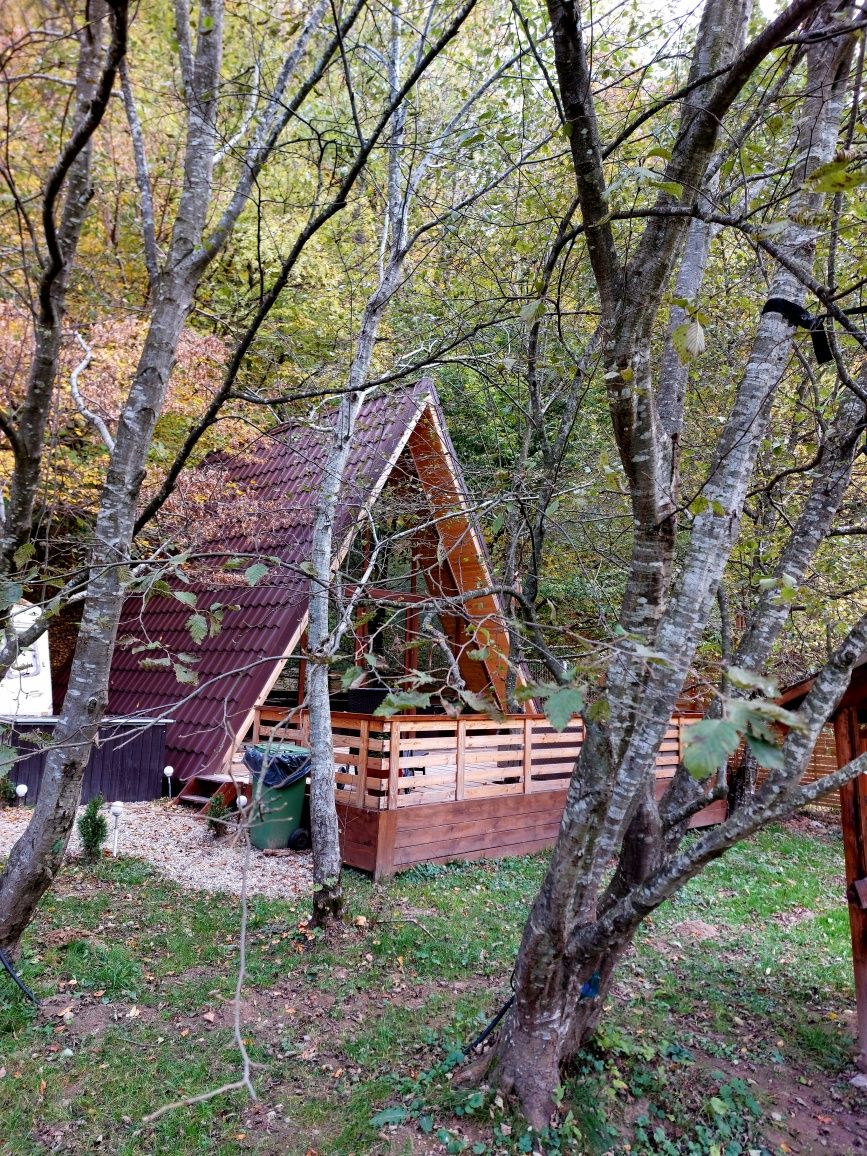 Parcul Național Piatra Craiului cabana munte cazare pensiune Zărnești