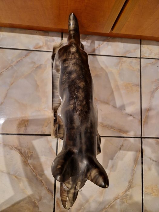 Antic caine lup ipsos