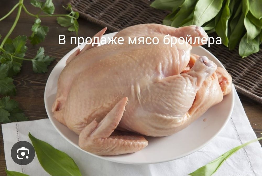 Бройлеры, мясо и яйцо перепелов