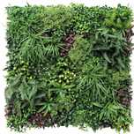 Decor VV 6135 GreenWall Rainforest -perete verde artificial 1x1m