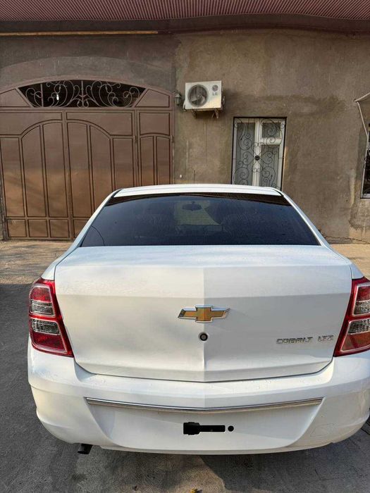 Oq yangi COBALT MCM-2026