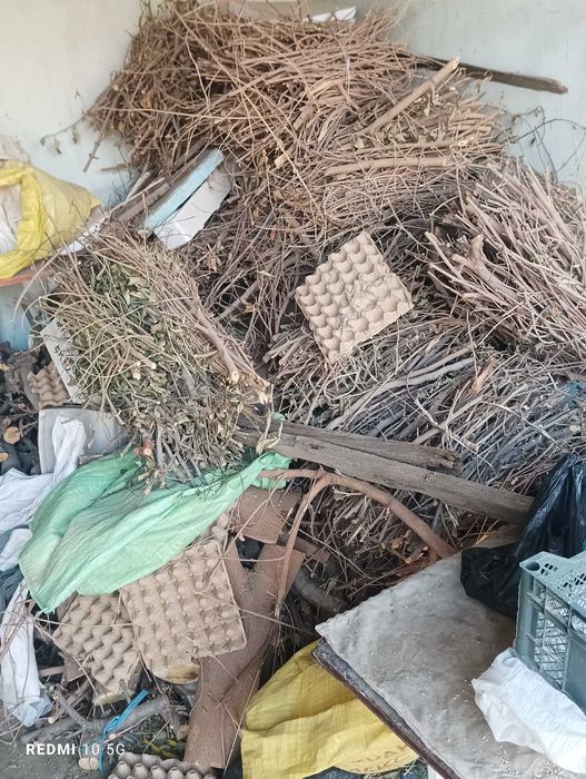 Отин сотилади тут дарахт