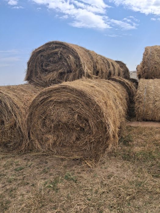 Baloti de fân rotuzi de vanzare de 160 înălțime si 120 latime